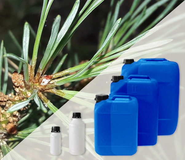 Industrial packaging of Scots pine essential oils