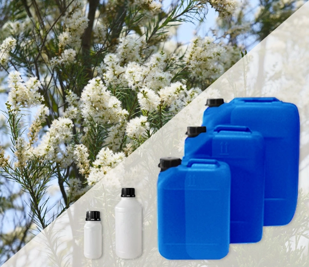Industrial packaging of tea tree essential oils
