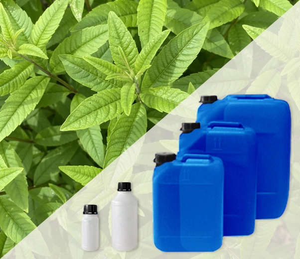 Industrial packaging of Verbena essential oils