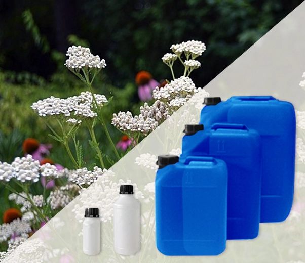Industrial packaging of Yarrow essential oils