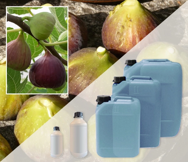 Industrial packaging of fig milk fragrances