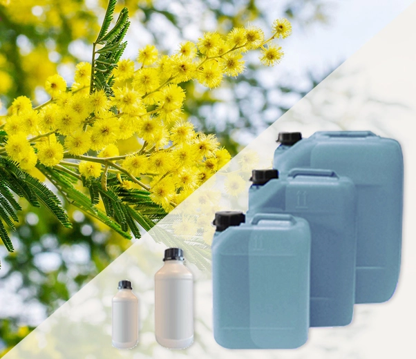Industrial packaging of Mimosa flower fragrances