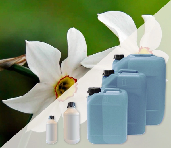 Industrial packaging of Narciso fragrances