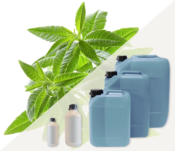 Industrial packaging of Verbena fragrances