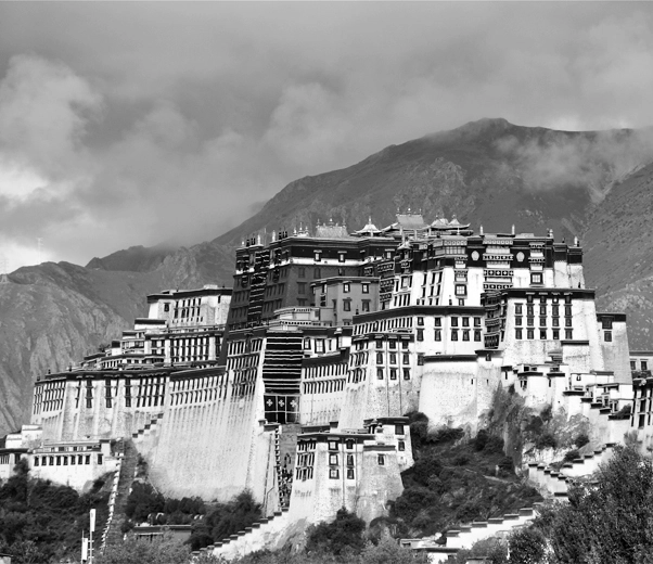 Himalayan healing incense Potala palace