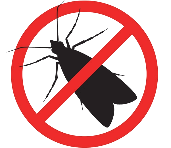 Moth repellent product