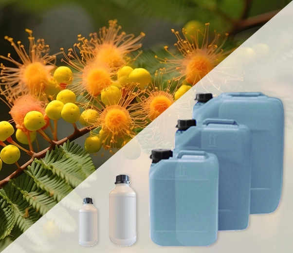 Envases industriales de fragancias de flores de acacia.