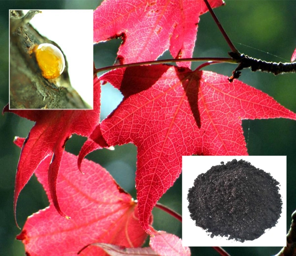 Estoraque ámbar dulce