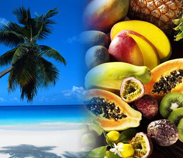 Tropiques, fruits et plage