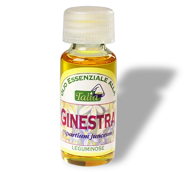 bouteille en forme de fleur de genêt