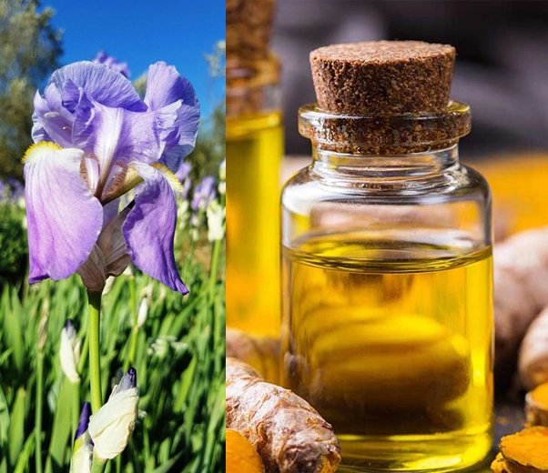Iris, fleur et essences