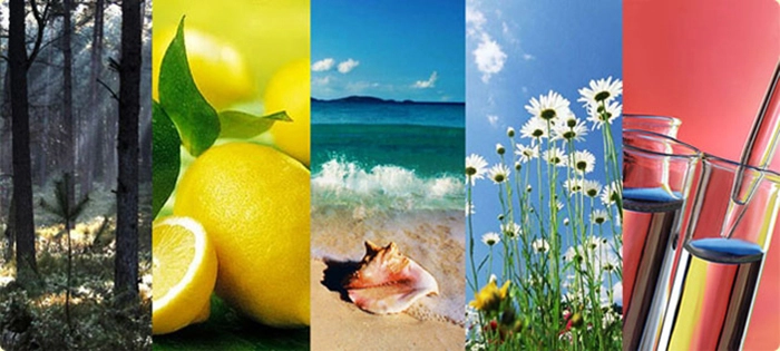 parfums d'ambiance