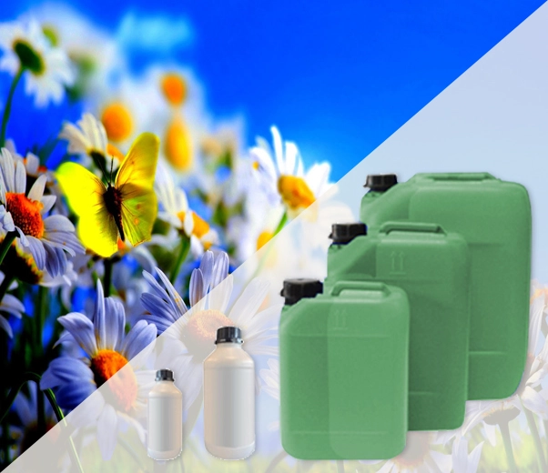 Conditionnement industriel des parfums d'intérieur Sour Flowers