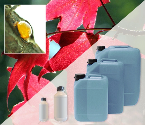 Conditionnement industriel de parfums ambrés doux