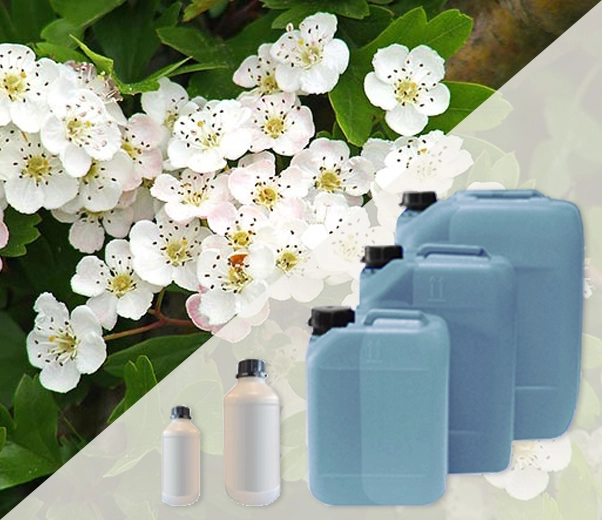 Conditionnement industriel des parfums Hawthorn