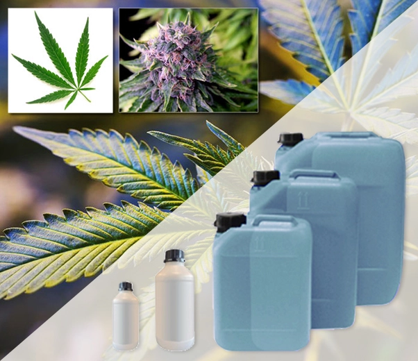 Conditionnement industriel des parfums à base d'huile de cannabis