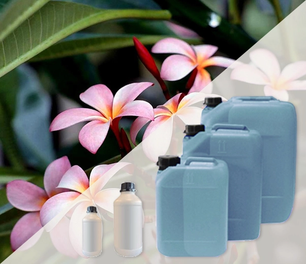 Conditionnement industriel des parfums Frangipanier