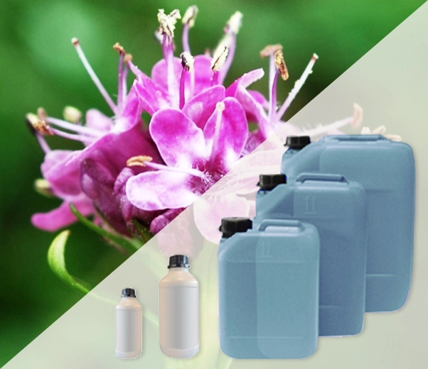 Conditionnement industriel des parfums de nard indien