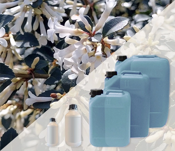 Conditionnement industriel des parfums à l'osmanthus