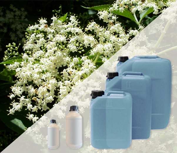 Conditionnement industriel des parfums de sureau