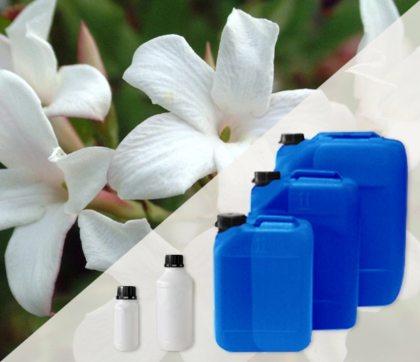 Conditionnement industriel des huiles absolues de jasmin