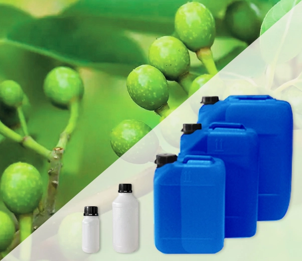 Conditionnement industriel des huiles essentielles de Litsea cubeba