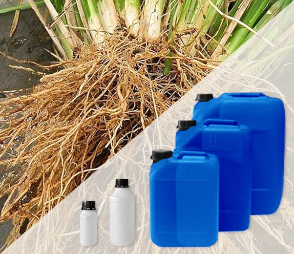 Confezioni industriali oli essenziali Vetiver haiti